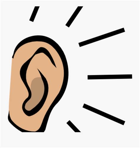 Clip Art Ear Picture Stock Ears Clipart Free Transparent Clipart