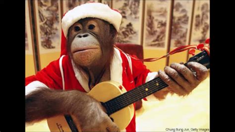 Christmas Monkey Song Youtube