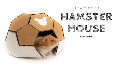 How To Make A Hamster House Diy Pet House Cardboard House Youtube