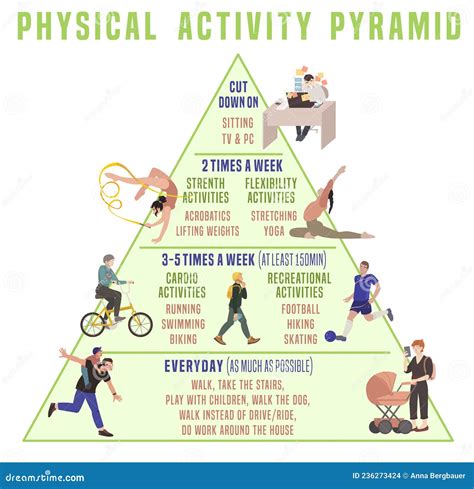 Everyday Physical Activity Pyramid Vector Illustration Isolated On A
