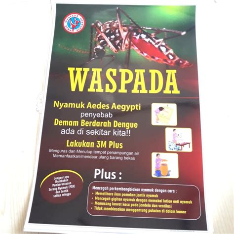 Poster Tentang Nyamuk Aedes Gambaran