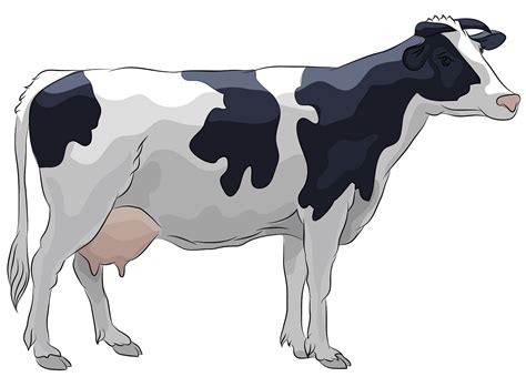 cattle cartoon royalty transprent png royaltyfree cartoon cow clipart my xxx hot girl