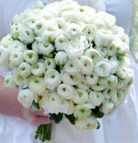 White Ranunculus Wedding Bouquet Ranunculus Wedding Bouquet Ranunculus Wedding Classic