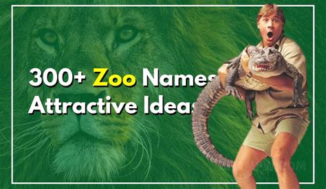 300 Zoo Names Attractive Ideas For Getting More Viewers