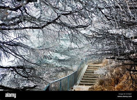 Ice Rimmed Trees Wuling Mountain Beijing China Stock Photo Alamy
