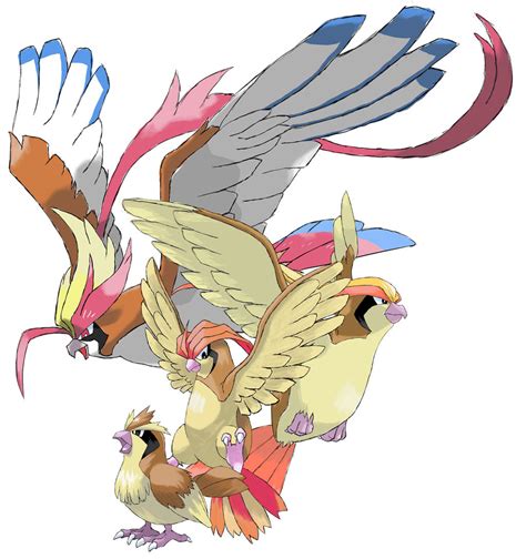 16 18 Pidgey Evolutions By Torathor On Deviantart