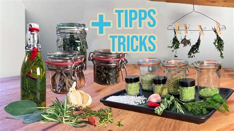 kräuter haltbar machen rezepte tipps und tricks für frische kräuter youtube