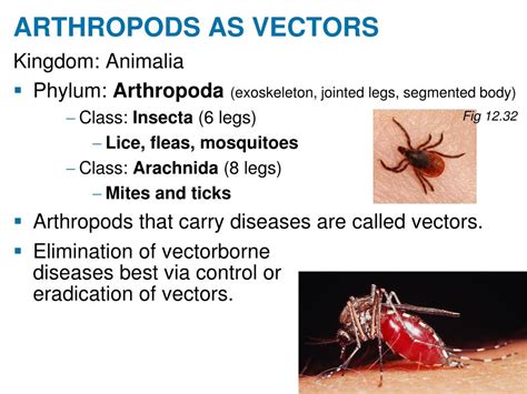 PPT - Ch 12 PowerPoint Presentation, free download - ID:1539159