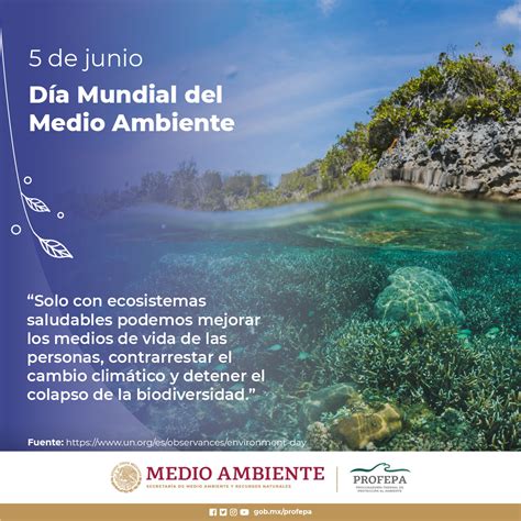 Día Mundial del Medio Ambiente Procuraduria Federal de Proteccion al