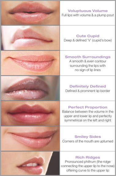 Perfect Lip Shape Lovely Lips Pinterest