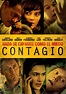 Contagio - película: Ver online completas en español