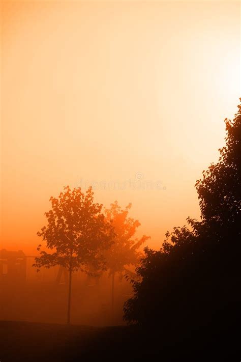 Sun Rise In The Fog Stock Photo Image Of Quiet Shine 127253430