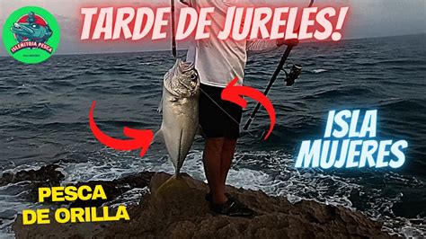 Tarde De Jureles Con Equipo Heavy Pesca De Orilla En Isla Mujeres