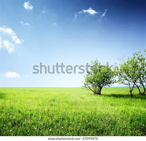 Meadow Green Grass Group Trees Under Stock Photo Edit Now 47099476