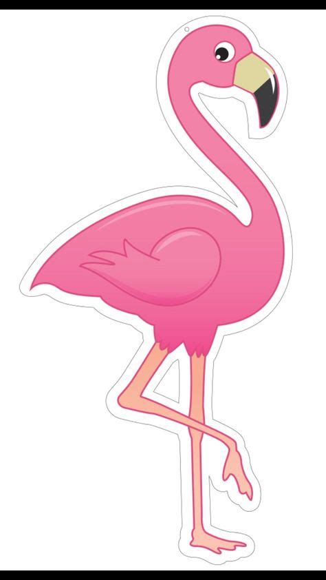 21 Ideias De Imagens De Flamingo Imagens De Flamingo Flamingo Festa