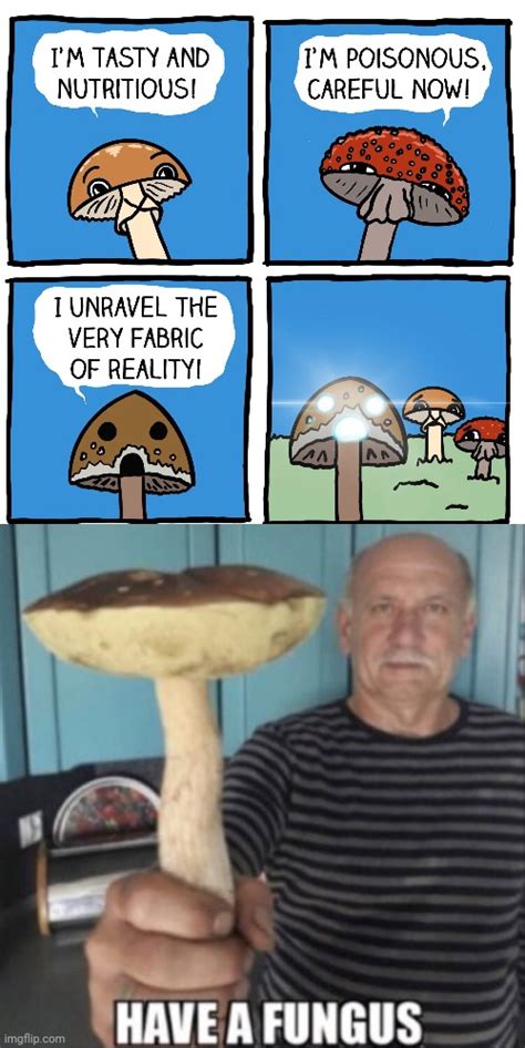 Comics Mushrooms Memes And S Imgflip