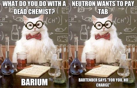 A Meme Is Born Chemistry Cat Chemistry Cat Chemistry Jokes Science Cat