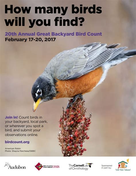 Friends Of Indian River Great Backyard Bird Count