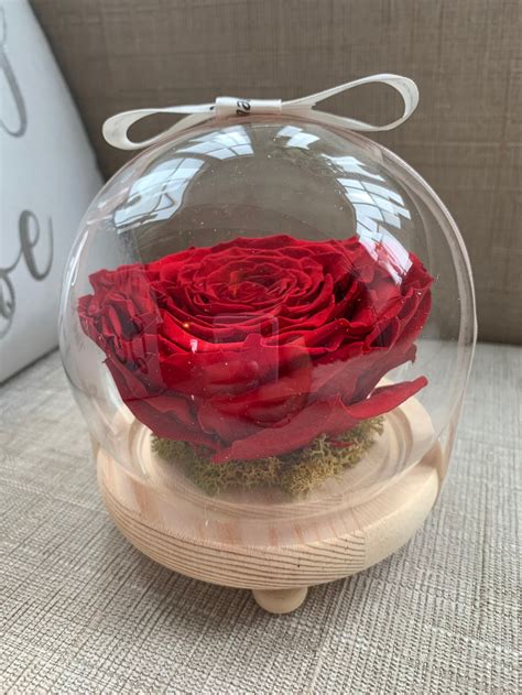 Extra Large Real Rose Preserved Eternal In Glass Dome Etsy