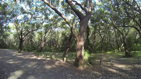 Yagon Campground Myall Lakes National Park Near Seal Rocks Nsw Youtube