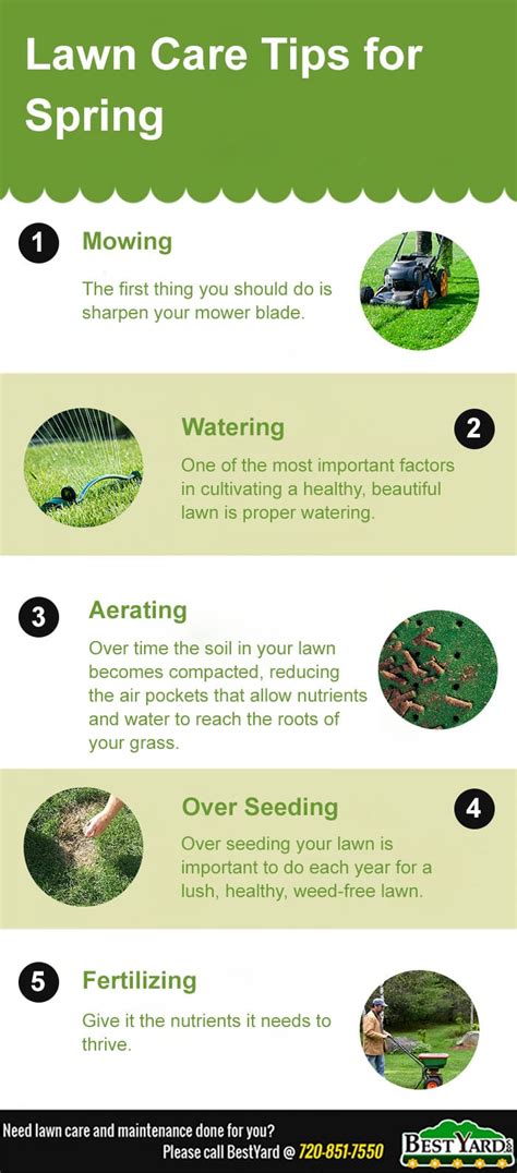 Lawn Care Tips For This Spring