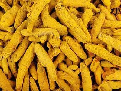 Common Polished Turmeric Finger By Annapa Traders From Mumbai