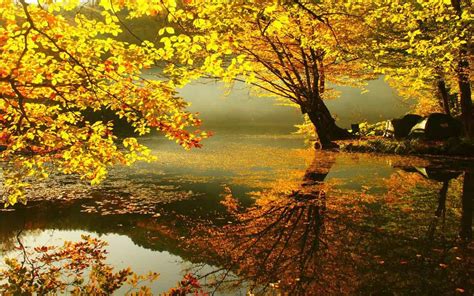 Autumn Live Wallpapers 101 Apk Download Android
