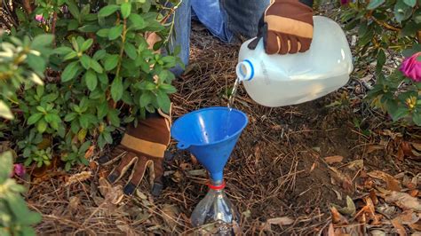 Diy Drip Irrigation The Easy Way To Water Plants All You Need Is Drip