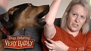 Dogs Behaving Very Badly - Series 1, Episode 3 | Full Episode - YouTube