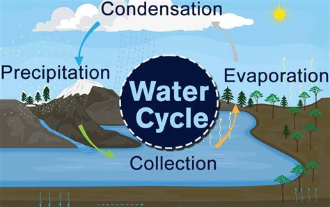 Hello everyone new video is uploded water cycle easy drawing for kids please watch, like, comment, and share my videos. The Water Cycle Definition! Easy Science Lesson for Kids