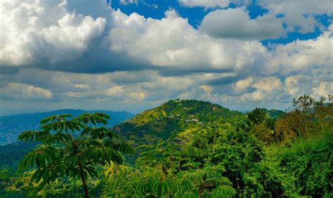 How To Visit The Blue And John Crow Mountain National Park In Jamaica