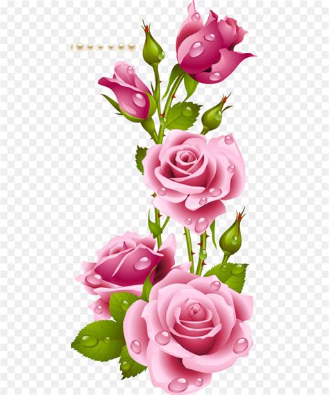 Pink Rose Flower Wallpaper Images Natia Wallpapers