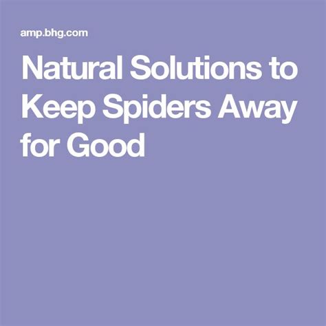 Natural Solutions To Keep Spiders Away For Good Keep Spiders Away