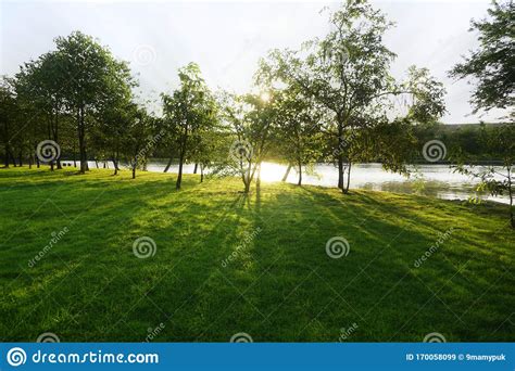 Beautiful Scenery Trees Greenery Park And Fresh Green Lawn With Lake