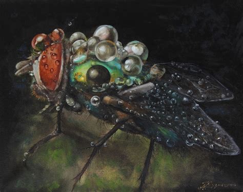 The Fly Oil Painting By Dariusz Bernat