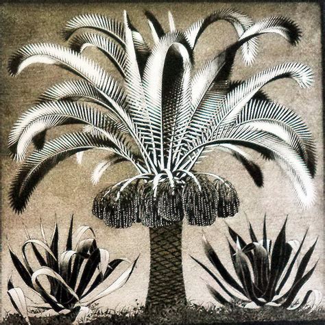 Escher Vintage Palm Print Escher Tree Print Fantasy Print Surrealist