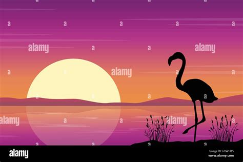 At Lake Scene With Flamingo Silhouettes Stock Vector Image And Art Alamy