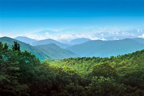 Why Blue Ridge Georgia Is A Great Place To Visit Southern Charm