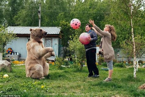 russian couple shares their lives with a 23 years old bear