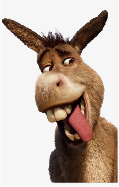 Donkey Shrek Smile Neo Coloring