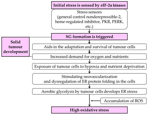 Scheme 1 Schematic Representation Of The Different Stress Pathways