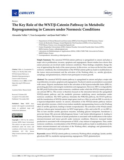 PDF The Key Role of the WNT β Catenin Pathway in Metabolic