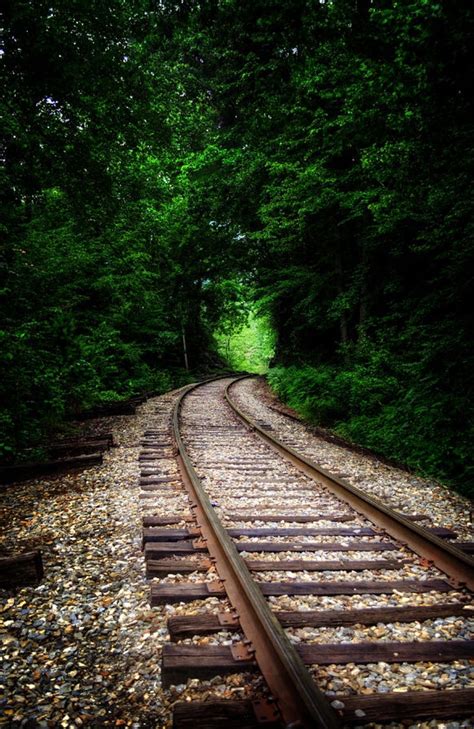 The Tracks Through The Woods is a photograph by Greg Mimbs. Color photograph of Railroad tracks 