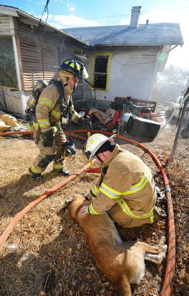 Heroic Firefighters Revive Dog Pulled From House Fire Life With Dogs