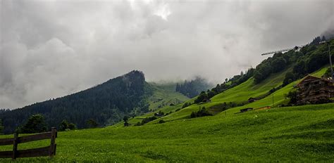 Hd Wallpaper Forrest Mountain Grass Green Foggy Sky Tree