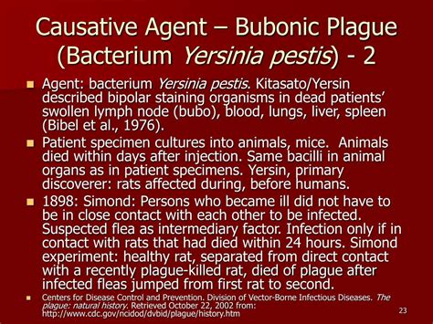 Ppt Rubella And The Bubonic Plague A Comparison Powerpoint