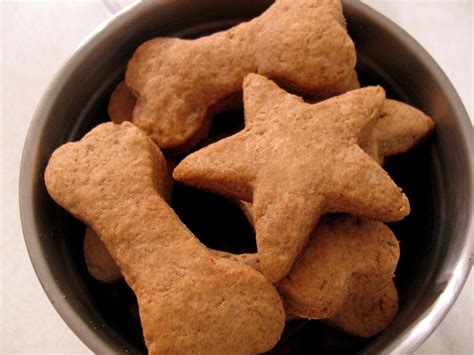 Homemade Healthy Dog Treat Recipes · How To Cook Pet Food · Recipes