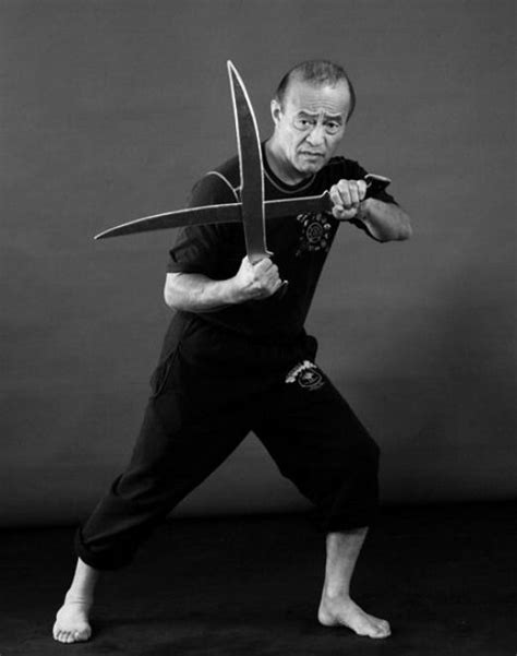 Dan Inosanto Jiujitsu Jiu Jitsu Samurai Bruce Lee Martial Arts