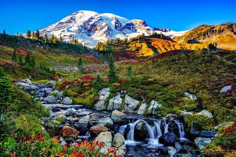 Photos Vibrant Fall Colors Around The Pacific Northwest Komo