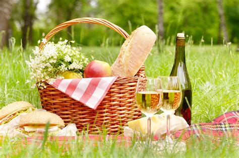 Picnic Backgrounds